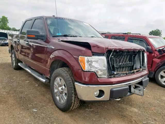 1FTEW1E89AFC01953 - 2010 FORD F150 SUPER MAROON photo 1