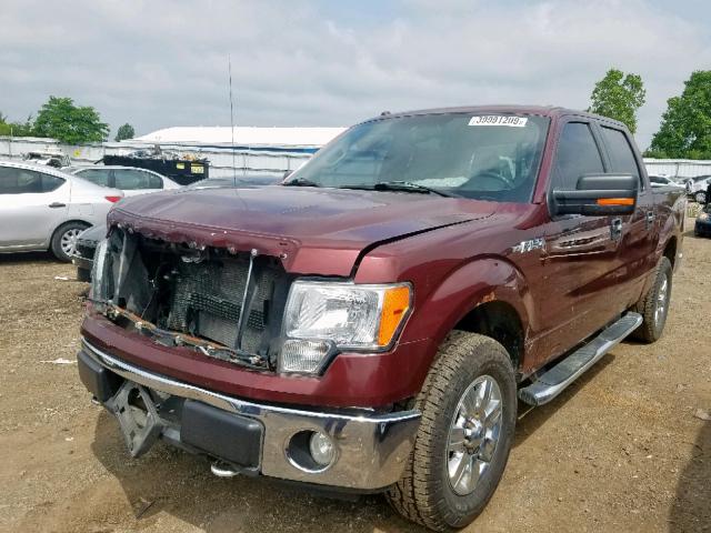 1FTEW1E89AFC01953 - 2010 FORD F150 SUPER MAROON photo 2