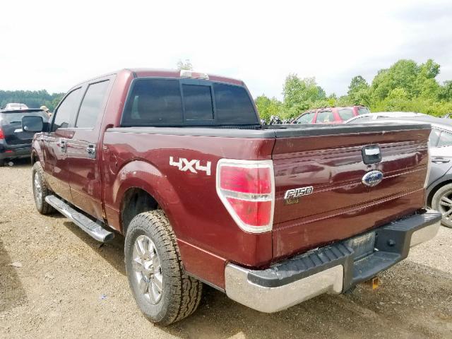 1FTEW1E89AFC01953 - 2010 FORD F150 SUPER MAROON photo 3