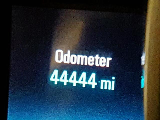 1G11C5SA2GF106321 - 2016 CHEVROLET MALIBU LIM 红色 照片 8