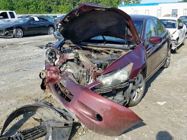 1HGCP36828A083347 - 2008 HONDA ACCORD EXL BURGUNDY photo 2