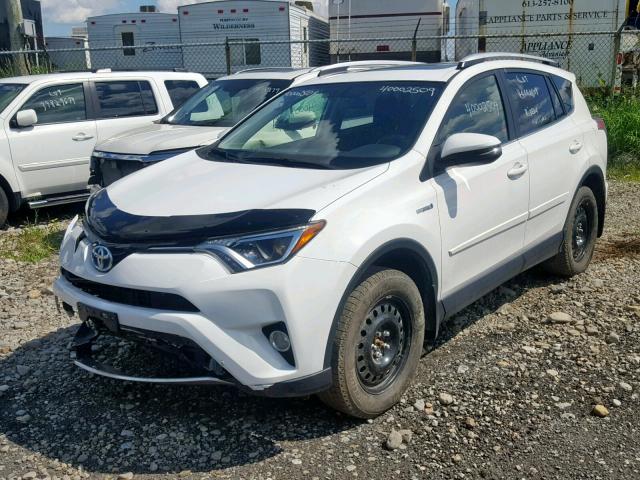 JTMRJREV8GD005690 - 2016 TOYOTA RAV4 HV XL WHITE photo 2