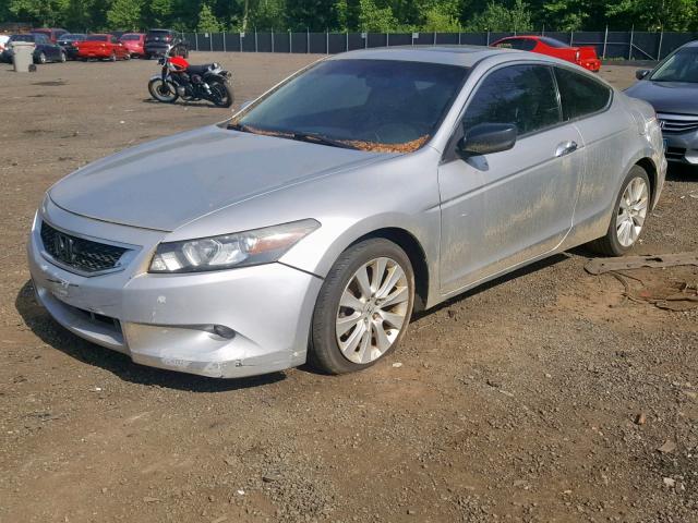 1HGCS22829A007871 - 2009 HONDA ACCORD EXL SILVER photo 2