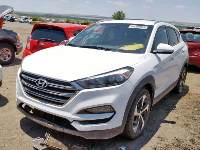 KM8J33A23GU122685 - 2016 HYUNDAI TUCSON LIM WHITE photo 2