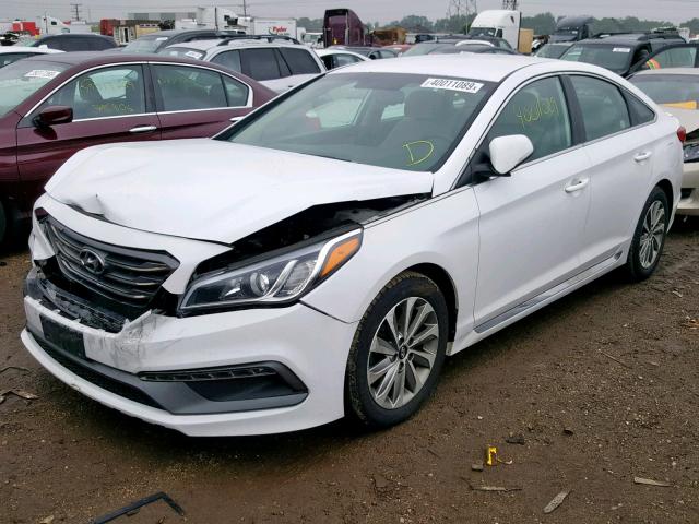 5NPE34AF0FH240538 - 2015 HYUNDAI SONATA SPO WHITE photo 2