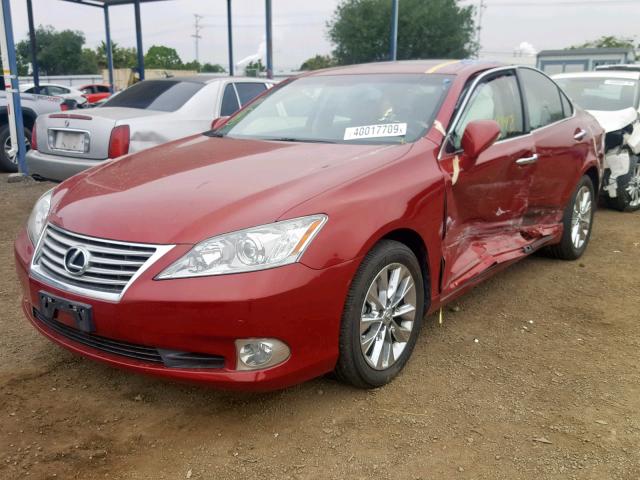 JTHBK1EG8C2503927 - 2012 LEXUS ES 350 BURGUNDY photo 2