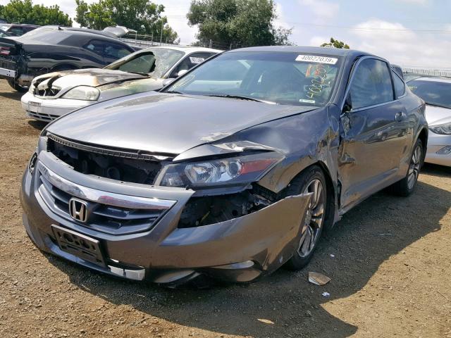 1HGCS1B81BA011331 - 2011 HONDA ACCORD EXL GRAY photo 2