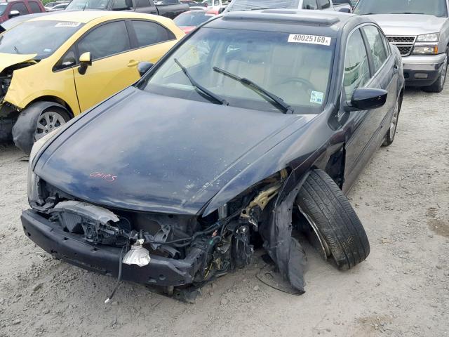 1HGCP26869A182491 - 2009 HONDA ACCORD EXL BLACK photo 2