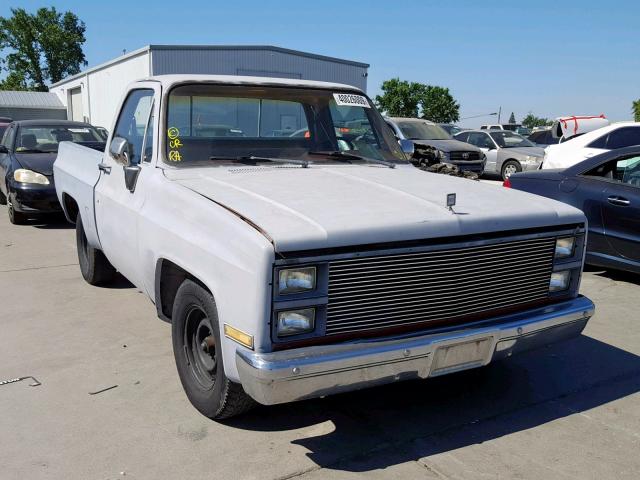 1GTEC14C0DJ510453 - 1983 GMC C1500 GRAY photo 1