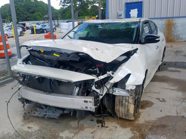 1N4AA6AP4HC446362 - 2017 NISSAN MAXIMA 3.5 WHITE photo 2