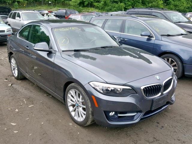 WBA1G9C5XGV599138 - 2016 BMW 228 XI GRAY photo 1