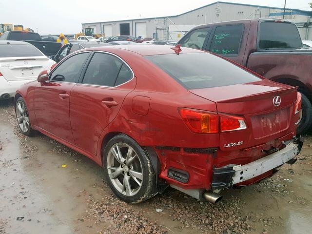 JTHBK262195093195 - 2009 LEXUS IS 250 RED photo 3