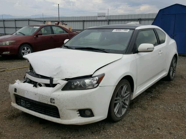 JTKJF5C72D3062831 - 2013 TOYOTA SCION TC თეთრი ფოტო 2