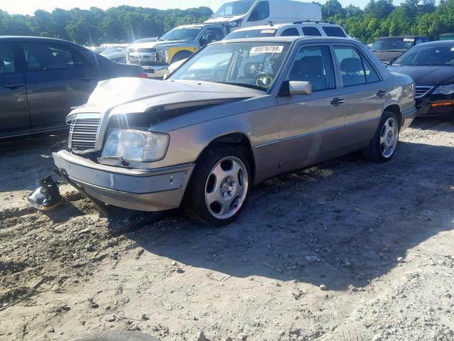 WDBEA34E1RC019970 - 1994 MERCEDES-BENZ E 420 GOLD photo 2