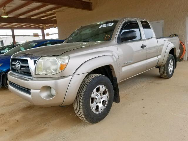 5TETU62N48Z521165 - 2008 TOYOTA TACOMA PRE GOLD photo 2