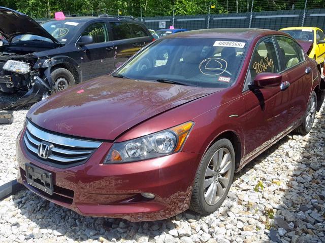 1HGCP3F83CA012599 - 2012 HONDA ACCORD EXL RED photo 2