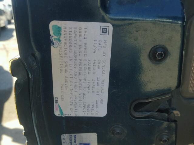 1G2WJ52M3SF221486 - 1995 PONTIAC GRAND PRIX GREEN photo 10