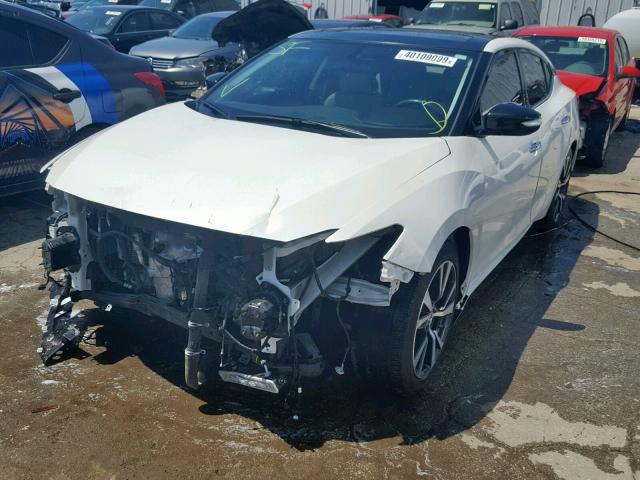 1N4AA6AP7HC386013 - 2017 NISSAN MAXIMA 3.5 WHITE photo 2