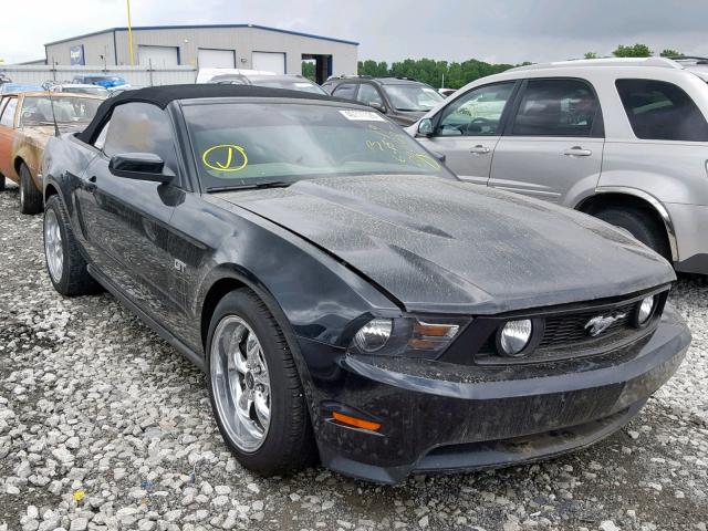 1ZVBP8FH5A5102461 - 2010 FORD MUSTANG GT BLACK photo 1