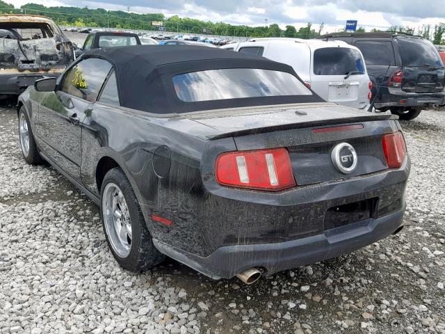 1ZVBP8FH5A5102461 - 2010 FORD MUSTANG GT BLACK photo 3