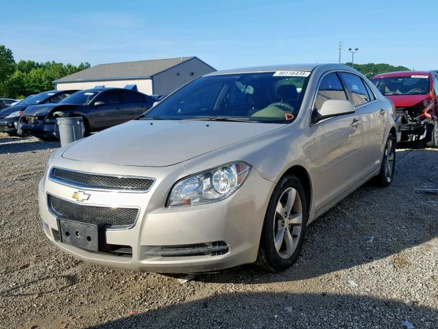 1G1ZC5EU2BF278382 - 2011 CHEVROLET MALIBU 1LT 金色 照片 2