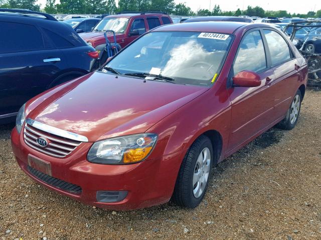 KNAFE222195664990 - 2009 KIA SPECTRA EX RED photo 2