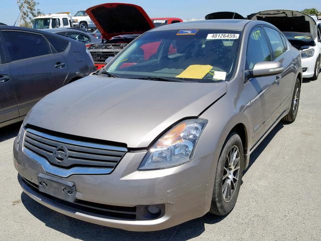 1N4CL21E28C252794 - 2008 NISSAN ALTIMA HYB GOLD photo 2