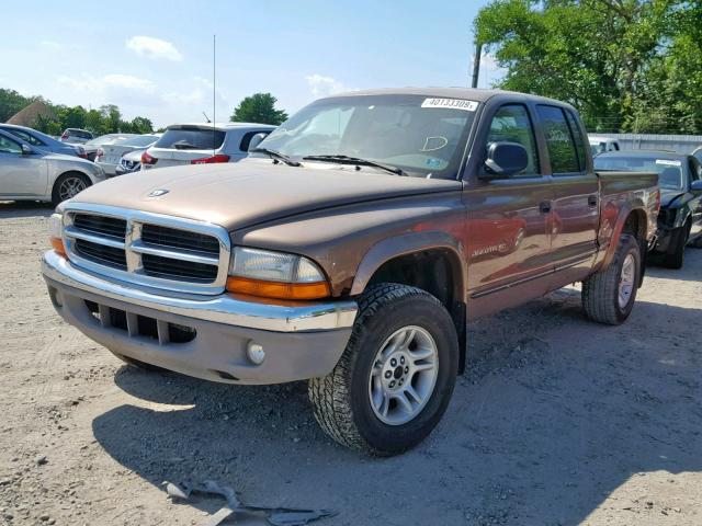 1B7GG2AN81S209699 - 2001 DODGE DAKOTA QUA BROWN photo 2