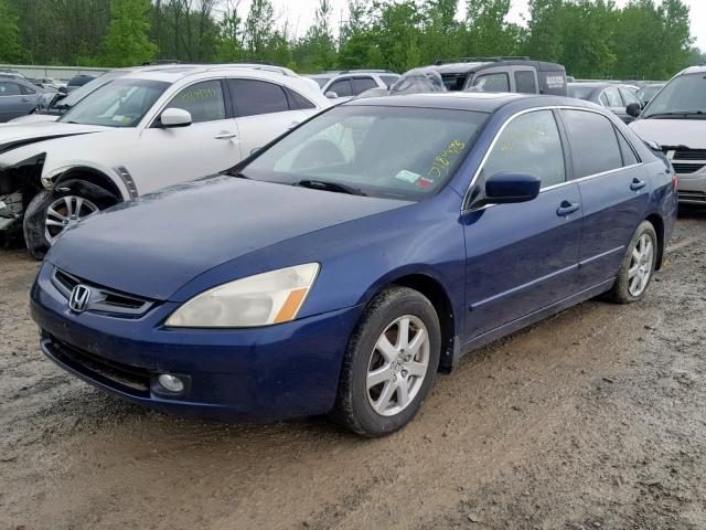 1HGCM66535A024853 - 2005 HONDA ACCORD EX BLUE photo 2