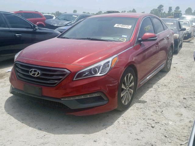 5NPE34AF2FH131157 - 2015 HYUNDAI SONATA SPO BURGUNDY photo 2