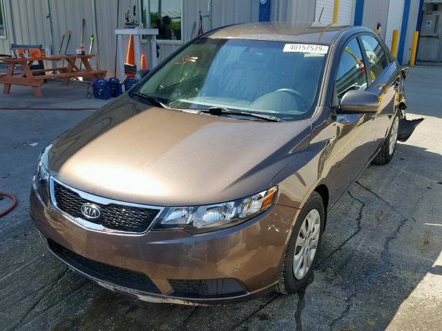 KNAFU4A21D5655134 - 2013 KIA FORTE EX BROWN photo 2