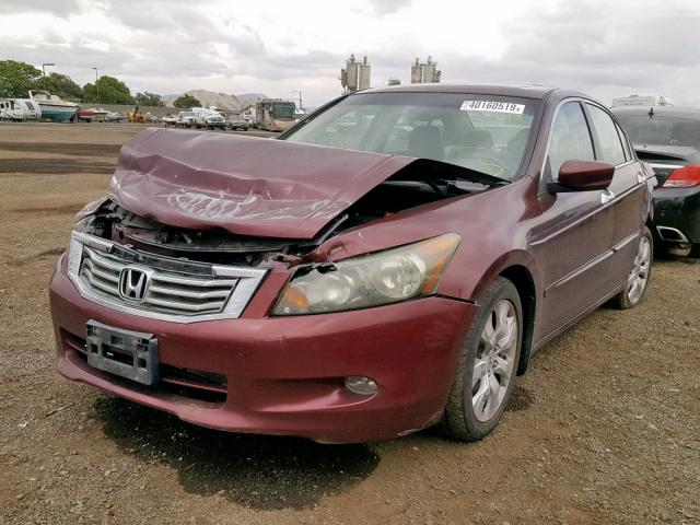 1HGCP36828A030583 - 2008 HONDA ACCORD EXL MAROON photo 2