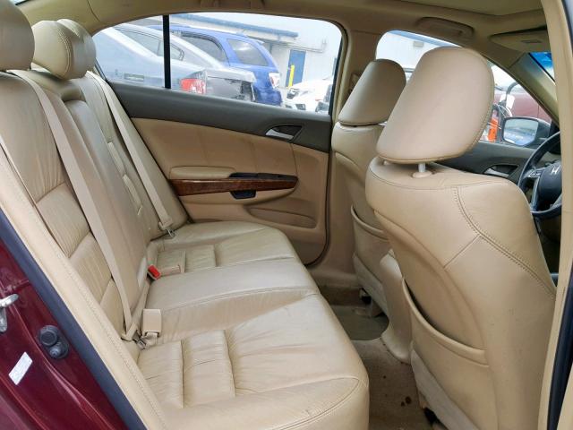 1HGCP36828A030583 - 2008 HONDA ACCORD EXL MAROON photo 6