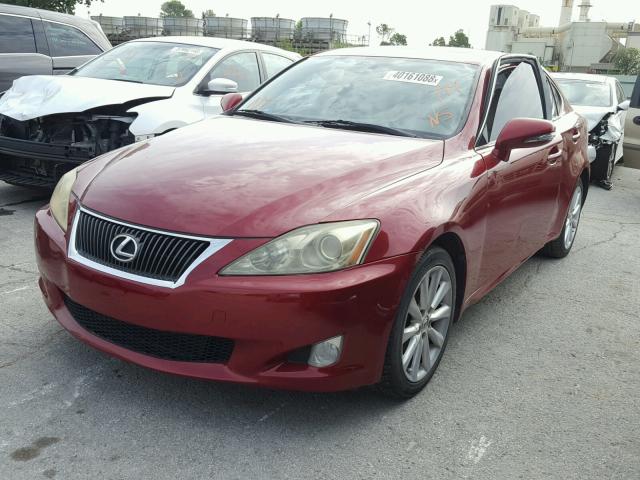 JTHCK262095030691 - 2009 LEXUS IS 250 RED photo 2