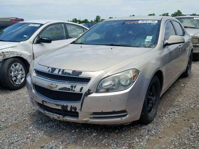 1G1ZC5EB2AF194284 - 2010 CHEVROLET MALIBU 1LT 金色 照片 2