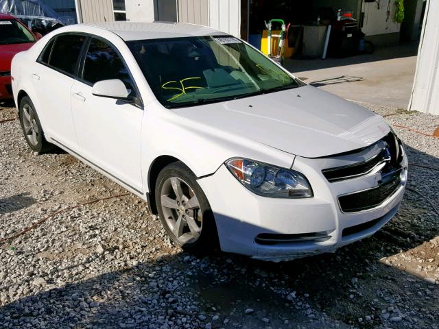 1G1ZC5E1XBF313160 - 2011 CHEVROLET MALIBU 1LT თეთრი ფოტო 1