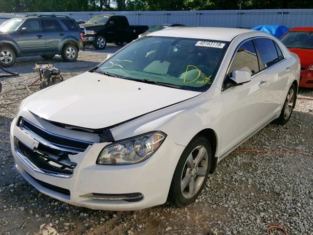 1G1ZC5E1XBF313160 - 2011 CHEVROLET MALIBU 1LT თეთრი ფოტო 2