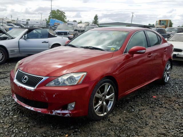 JTHBF5C21A5109104 - 2010 LEXUS IS 250 RED photo 2