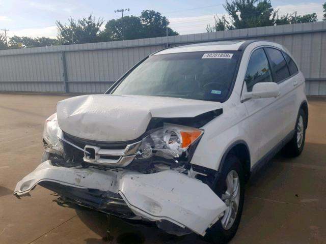 JHLRE4H71AC007513 - 2010 HONDA CR-V EXL WHITE photo 2