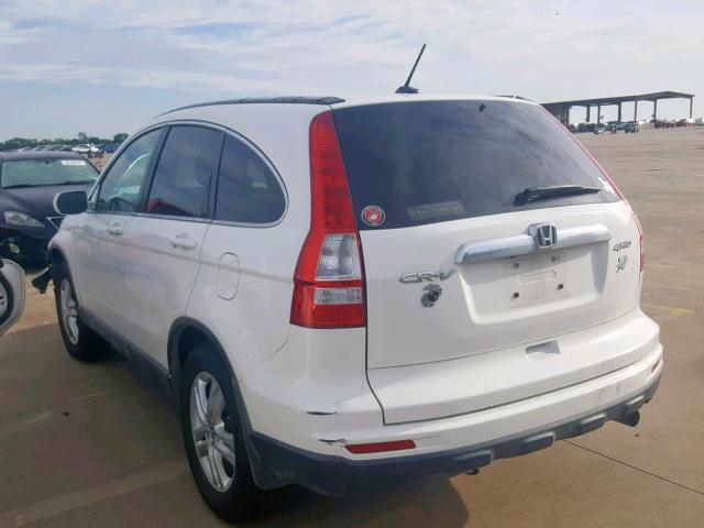 JHLRE4H71AC007513 - 2010 HONDA CR-V EXL WHITE photo 3