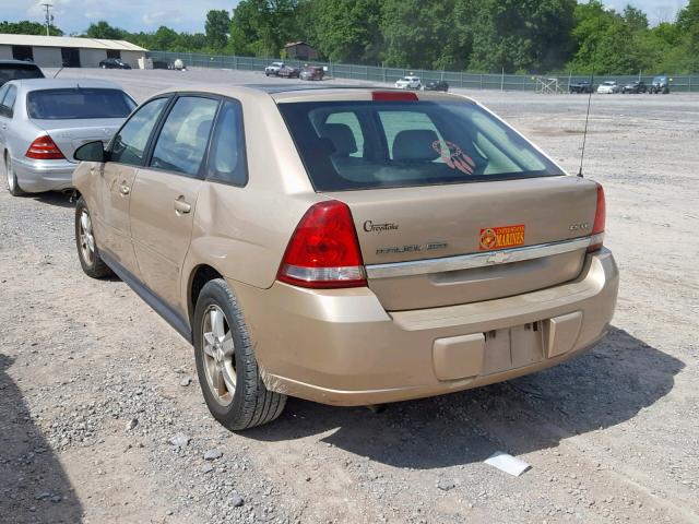 1G1ZT62824F170540 - 2004 CHEVROLET MALIBU MAX 米色 照片 3