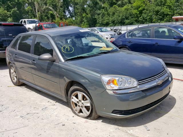 1G1ZT62864F174199 - 2004 CHEVROLET MALIBU MAX 灰色 照片 1