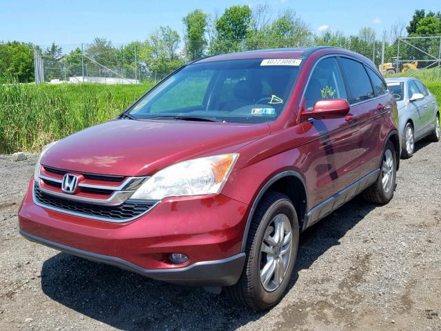 5J6RE4H74AL094346 - 2010 HONDA CR-V EXL RED photo 2