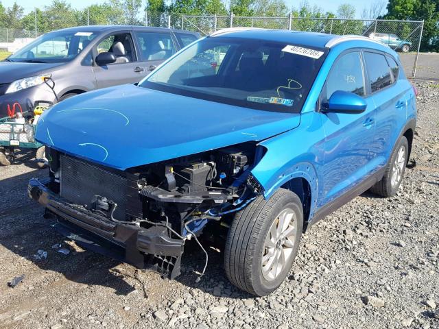 KM8J33A41GU026331 - 2016 HYUNDAI TUCSON LIM BLUE photo 2