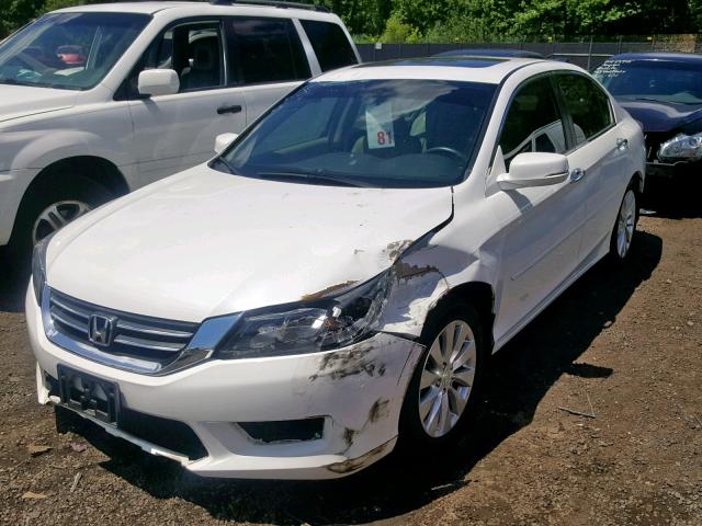 1HGCR2F88FA244222 - 2015 HONDA ACCORD EXL WHITE photo 2