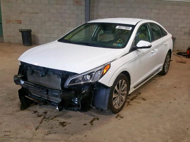 5NPE34AF6FH071366 - 2015 HYUNDAI SONATA SPO WHITE photo 2