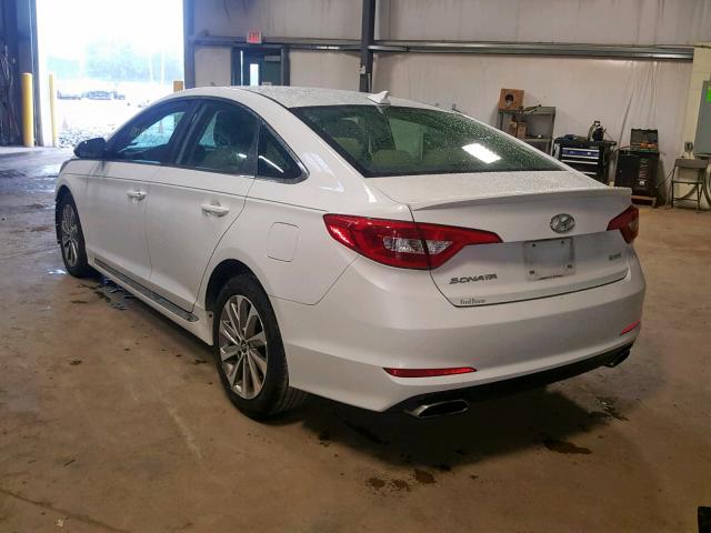 5NPE34AF6FH071366 - 2015 HYUNDAI SONATA SPO WHITE photo 3