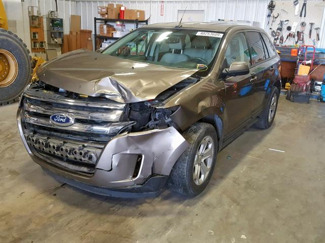 2FMDK3J96CBA59594 - 2012 FORD EDGE SEL GOLD photo 2