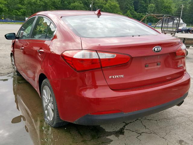 KNAFX4A83F5267546 - 2015 KIA FORTE EX RED photo 3