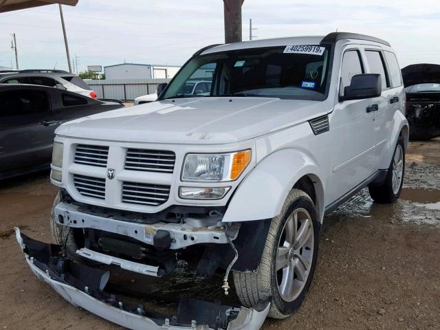 1D4PT4GK0BW597481 - 2011 DODGE NITRO HEAT WHITE photo 2